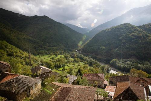. Radika View House