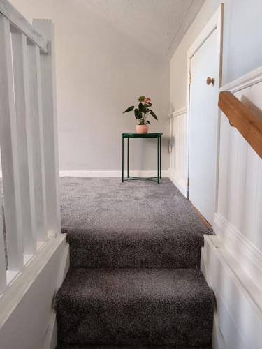 Dingle Escape -2 Bed -Sleeps 4 in Dingle