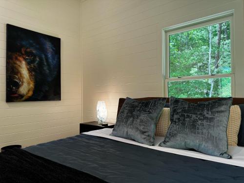 454 Looking Glass Mirror Cabin in Balsam Grove, USA