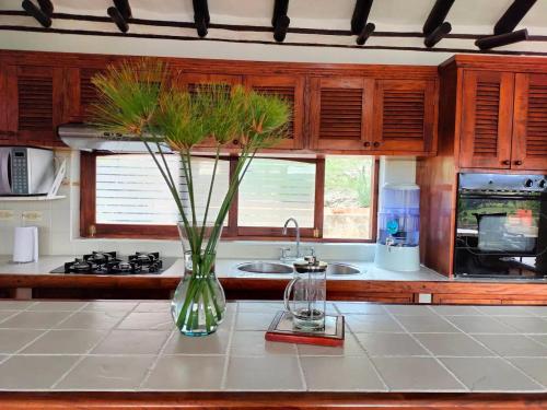 Kitchen, Cabana en Mirador de Puente Piedra in El Roble