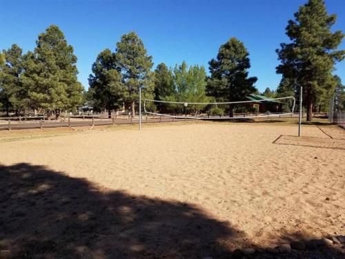 Cabin with Wild Horses, Fireplace, Dog Friendly & StarLink