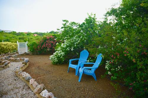 FonteinZen - Home with big garden at Fontein, Willemstad (fotografie 9)