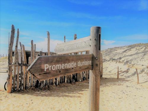 Appartement Coquet Proche Plage, Quartier Calme, Parking Privé - FR-1-239-1065 (Appartement Coquet Proche Plage, Quartier Calme, Parking Prive - FR-1-239-1065) in Seignosse