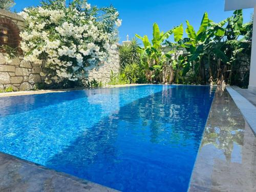Evalacati - Villa Harnup- Tamamen Müstakil Villa, Alacati (photo 5)