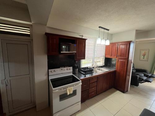 Balisier Apartments - Apt #1 in Portsmouth