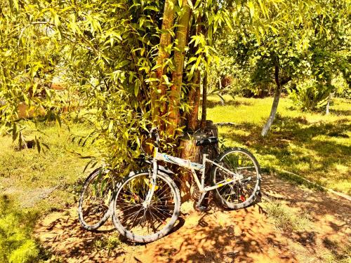 eco house summer garden in Kaji-Say