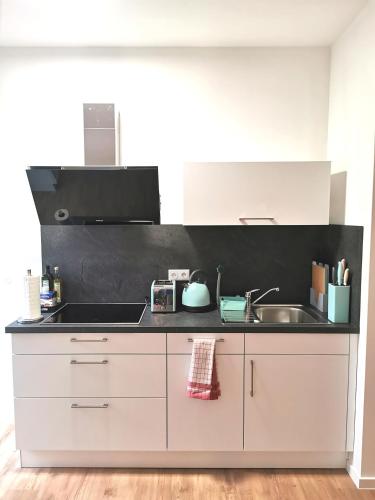 kuhinja, BohnApartments XL Suite - 2 Schlafzimmer mit Balkon - Zentrum - Petersberg - Domplatz in Andreasvorstadt