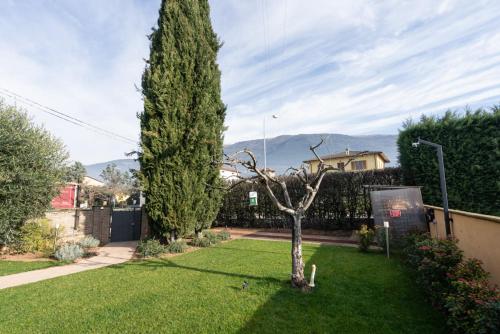 La Via Francigena B&B – Assisi, CT