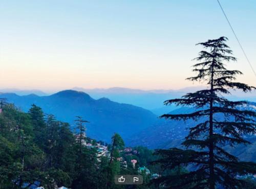 The Boho near Mall The Boho near Mall