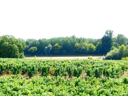 Вид, Chez voisine - entre la Loire et le vignoble in Пуллі-сюр-Луар