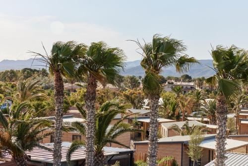 Camping Ampolla Playa - image 12