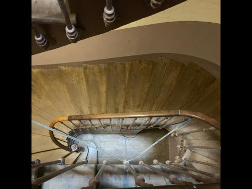 Saint Germain by Cocoonr - image 2