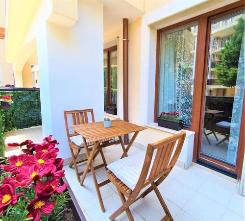 MATEO Golden Sands 2