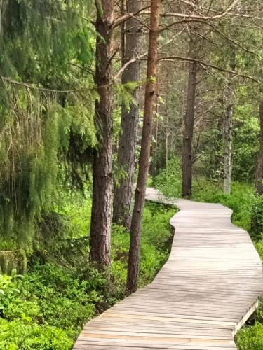 Apartament Beztroski Apartament Beztroski