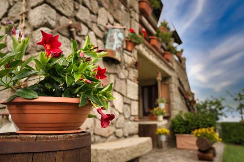 Agriturismo Biagiotti 2