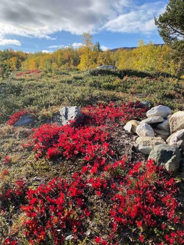 Flott og romslig hytte med særpreg i Lønsdal