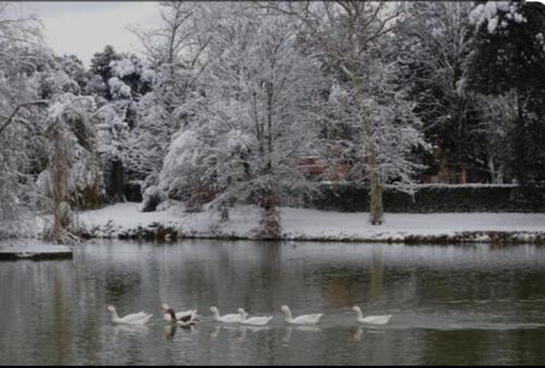  Anna Apartment in Pistoia