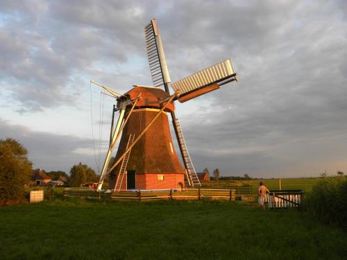 B&b Hoogholtje - image 12