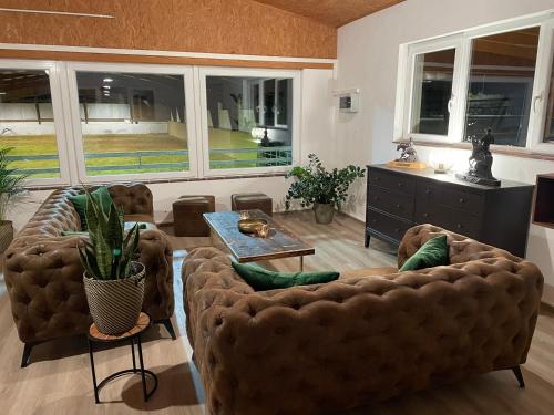 Trinity Ranch in Ilz