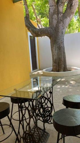 Casa Chac, el mejor lugar para descansar in กลางเมือง