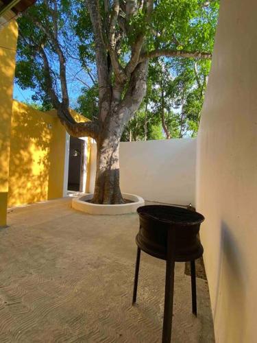 Casa Chac, el mejor lugar para descansar in กลางเมือง