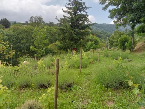 Kert, L'Abri-Gîte "Ô Jardin des Toiles" (L'Abri-Gite "O Jardin des Toiles") in Saint-Felicien