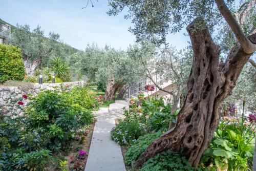 Bungalow with Garden View image 10