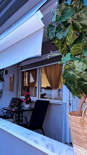 Amaya Pine Rooms in Kavala