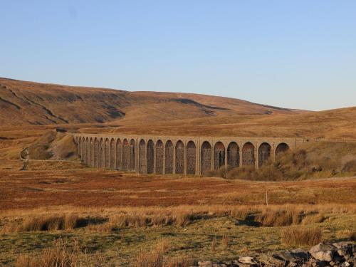 Woodpecker Woodpecker