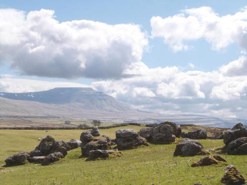 Woodpecker Woodpecker