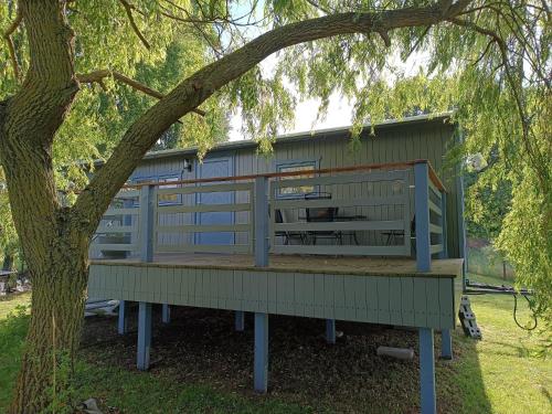 Tiny House & Alpaka-Erlebnis im Ruhner Land - Naturidylle pur in Ziegendorf, Deutschland