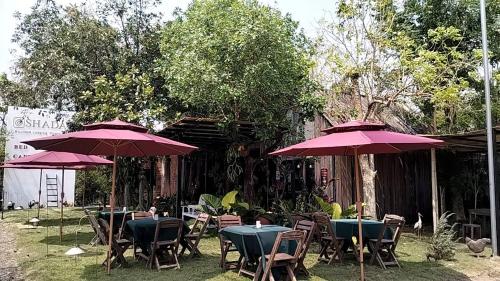 Atchada Chiang Mai @Shada Chiang Mai - 레스토랑
