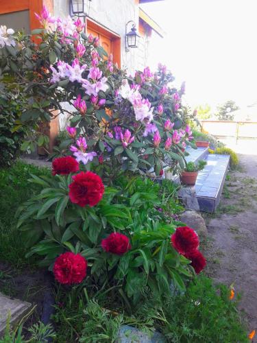 Portal de los Andes Bariloche