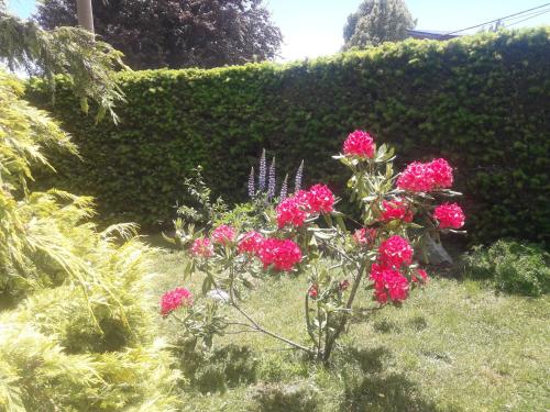Portal de los Andes Bariloche