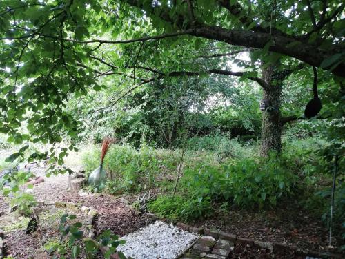 Dārzs, Yourte tatane in Gerpinnes