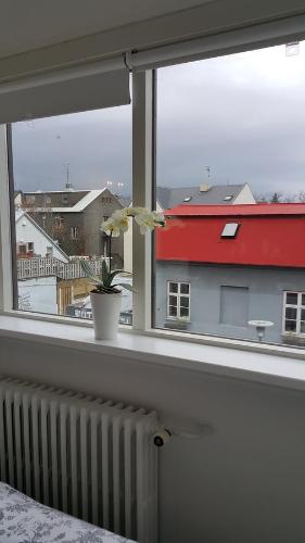 Apartment image 4