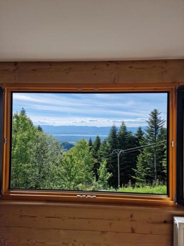 Appartement Les Montagnes de Saxel in Burdignin