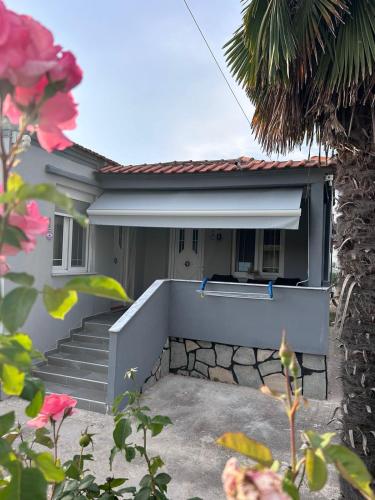 Amaya Pine Rooms in Kavala