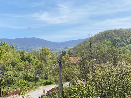 Viesnīcas āriene, Miletića čardak Ribarska Banja (Miletica cardak Ribarska Banja) in Ribare