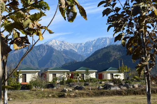 Dhauladhar View Village Resort - Sunehar