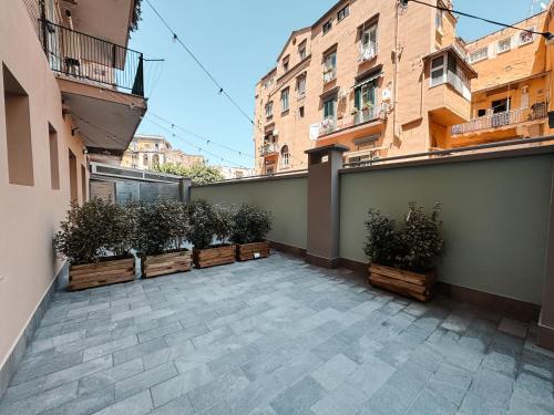 Re Lazzarone Suite 5