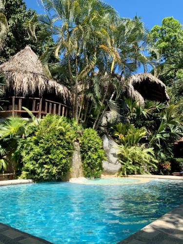 Swimming pool, Eco Hostal Yuluka in Santa Marta