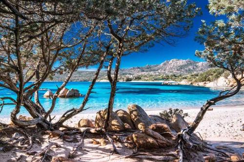 Casa Indipendente nel Cuore della Costa Smeralda Comfort per Famiglie e Gruppi gîte à louer Arzachena