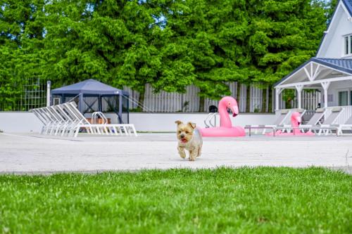 Dārzs, Resort Golf Kołczewo (Resort Golf Kolczewo) in Warnowo