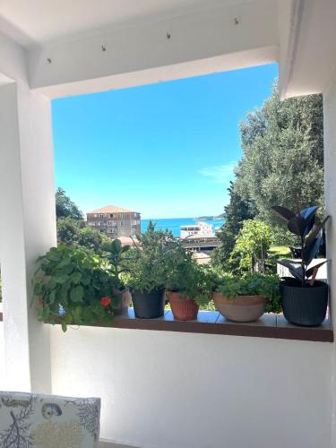 Apartments Harmonija - image 13