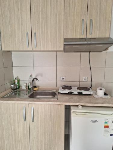 Apartments Ana in Star Dojran