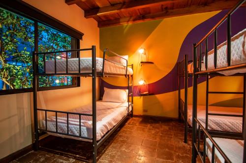 Yes Please! Hostel, Antigua Guatemala (foto 10)