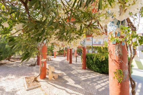 A környék, Todimer new pueblo mediteraneo in Itrabo