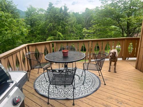 Hunter Mountain Slope Side Home in Хантер