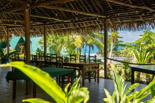 Corcovado Adventures in Drake Bay